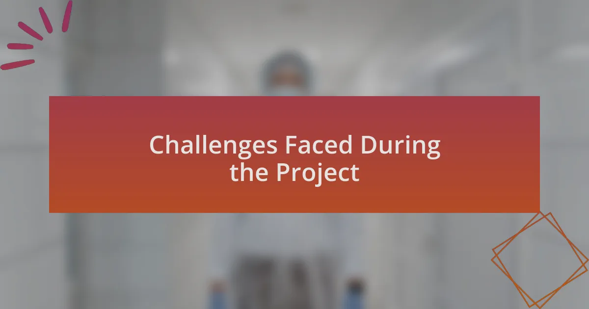 Challenges Faced During the Project