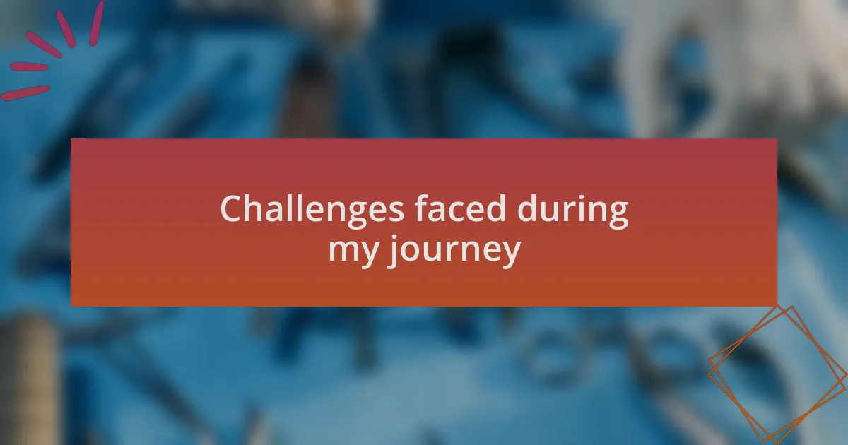 Challenges faced during my journey