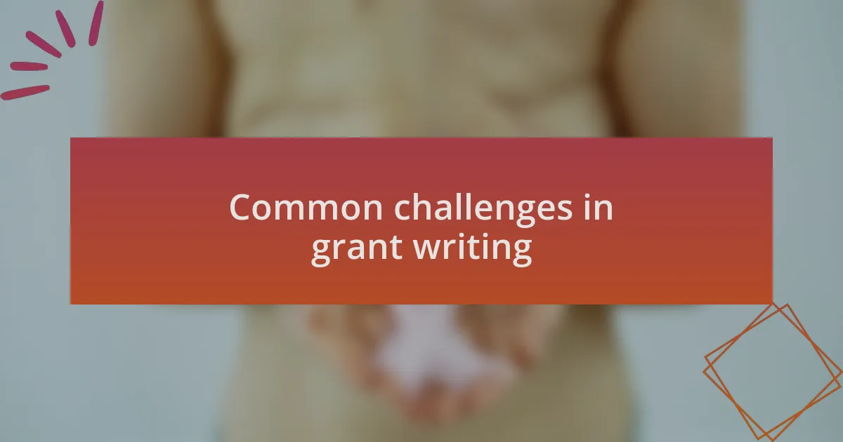 Common challenges in grant writing