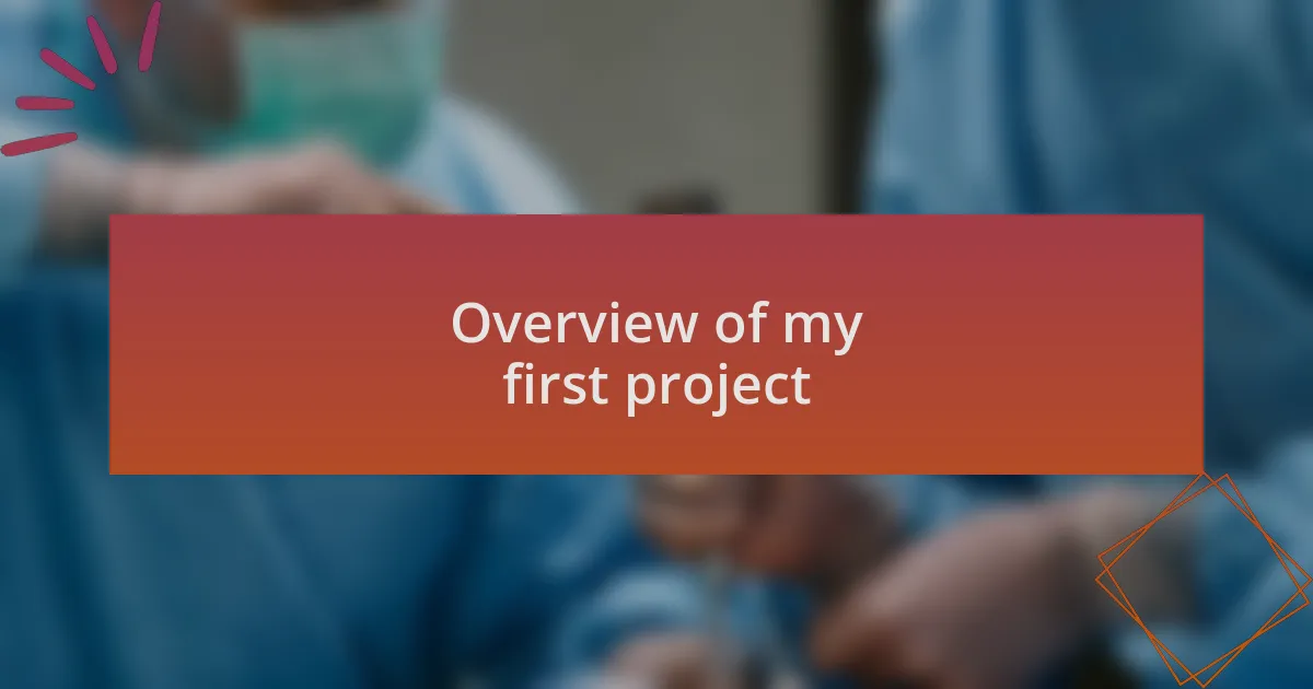 Overview of my first project